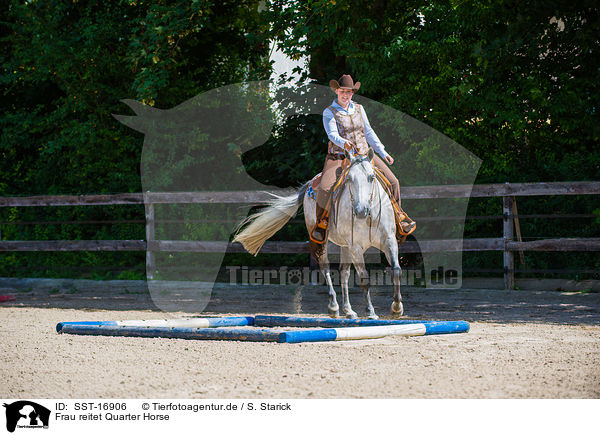 Frau reitet Quarter Horse / woman rides Quarter Horse / SST-16906
