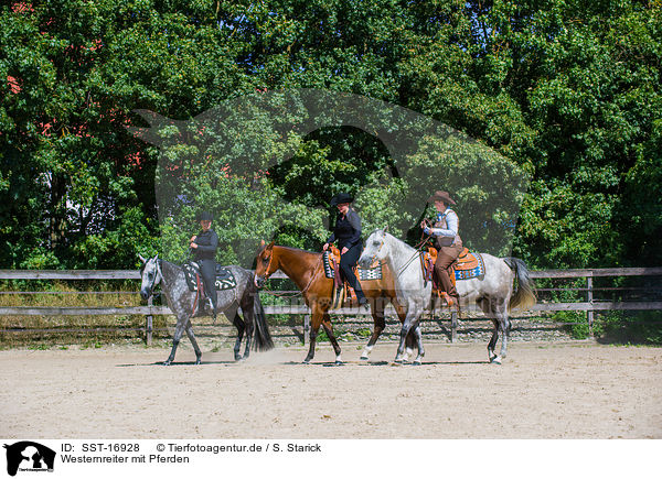 Westernreiter mit Pferden / SST-16928
