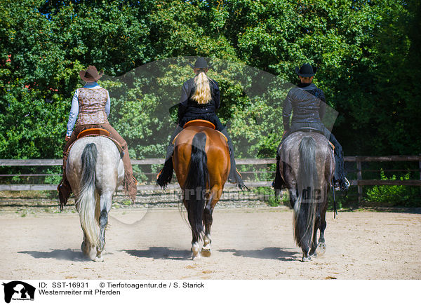 Westernreiter mit Pferden / SST-16931