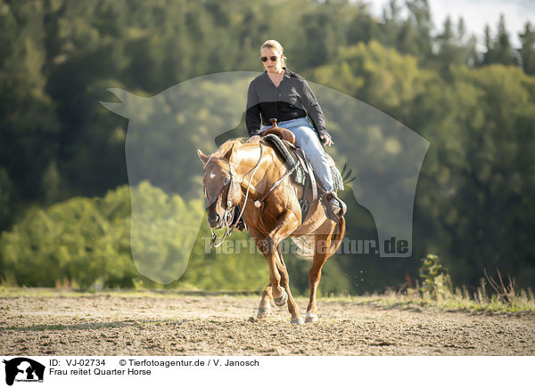 Frau reitet Quarter Horse / VJ-02734