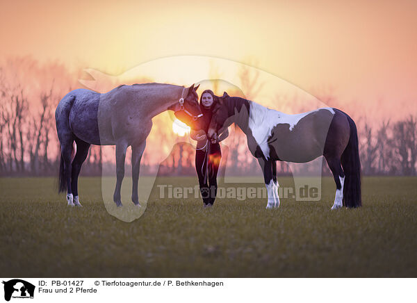 Frau und 2 Pferde / woman and 2 horses / PB-01427