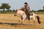 Mann reitet Quarter Horse