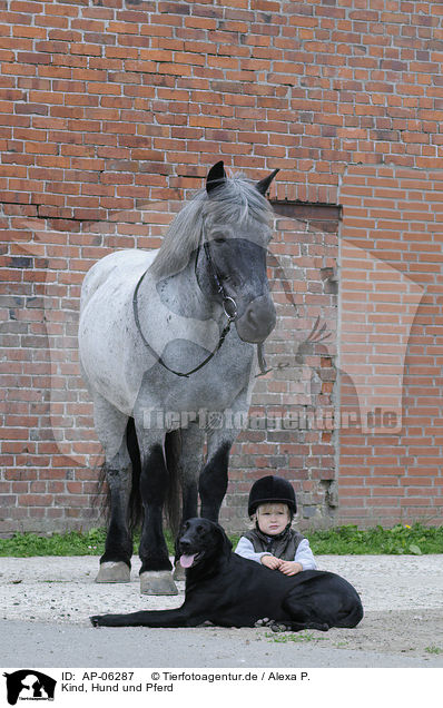 Kind, Hund und Pferd / AP-06287