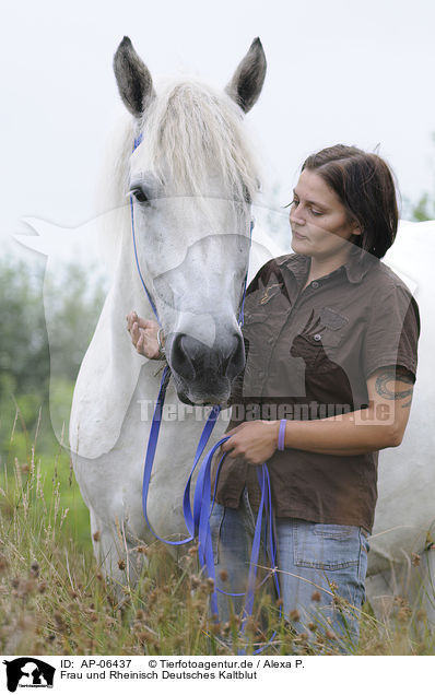 Frau und Rheinisch Deutsches Kaltblut / AP-06437