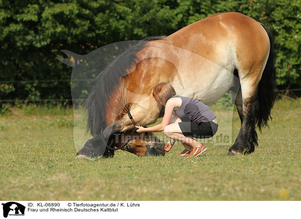 Frau und Rheinisch Deutsches Kaltblut / KL-06890
