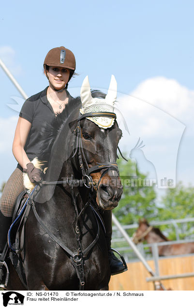 Frau reitet Rheinlnder / woman rides horse / NS-01470
