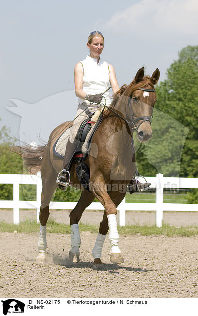 Reiterin / horsewoman / NS-02175