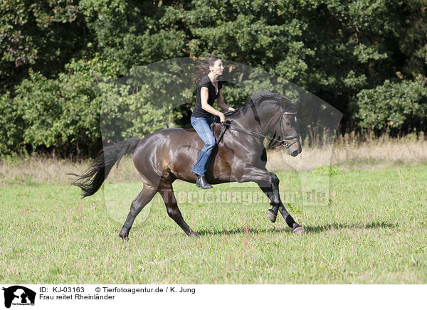 Frau reitet Rheinlnder / woman rides Rhinelander / KJ-03163