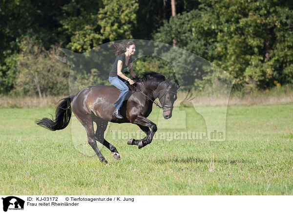 Frau reitet Rheinlnder / KJ-03172