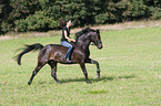 Frau reitet Rheinlnder