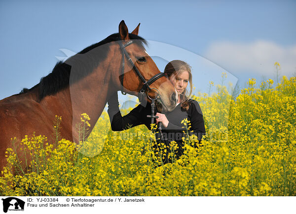 Frau und Sachsen Anhaltiner / woman and warmblood / YJ-03384