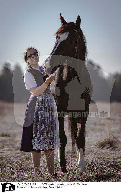 Frau und Schlesisches Warmblut / woman and Slaski / VD-01107