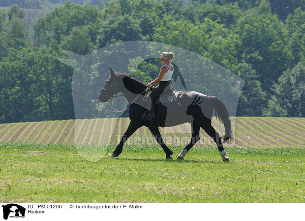 Reiterin / horsewoman / PM-01206