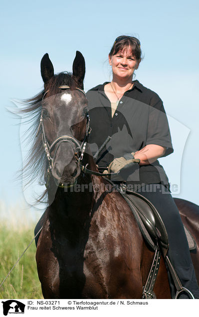 Frau reitet Schweres Warmblut / woman rides warmblood / NS-03271