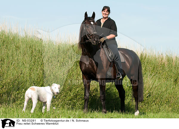 Frau reitet Schweres Warmblut / NS-03281