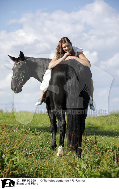 Braut und Pferd / bride and horse / RR-90250