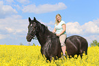 Frau reitet Schweres Warmblut