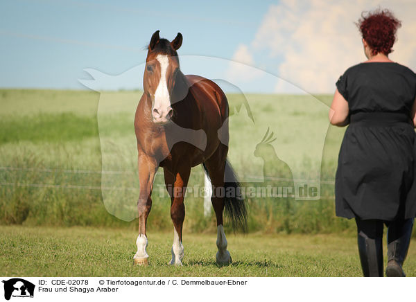Frau und Shagya Araber / woman and Shagya Arabian Horse / CDE-02078