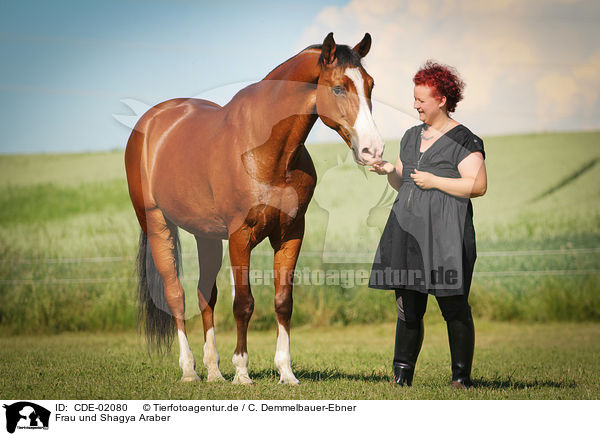 Frau und Shagya Araber / woman and Shagya Arabian Horse / CDE-02080