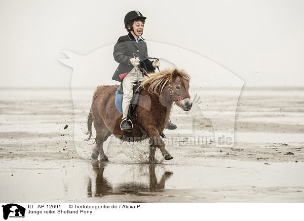 Junge reitet Shetland Pony / boy rides Shetland Pony / AP-12691