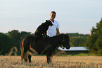 Hund sitzt auf Shetlandpony