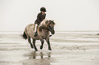 Mdchen reitet Shetland Pony