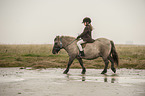 Mdchen reitet Shetland Pony