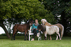 3 Shetland Ponys