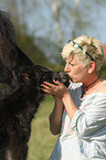 Shetland Pony Fohlen