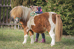 Mdchen und Shetland Pony