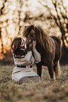 Frau und Shetland Pony