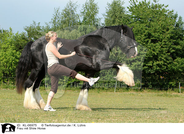 Frau mit Shire Horse / KL-06975