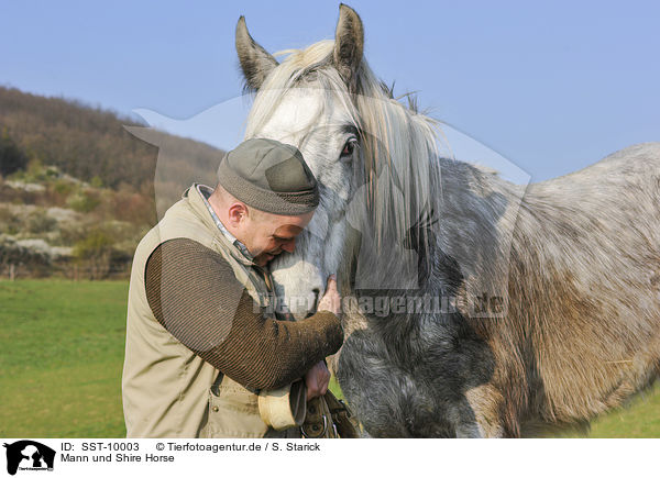 Mann und Shire Horse / man and Shire Horse / SST-10003