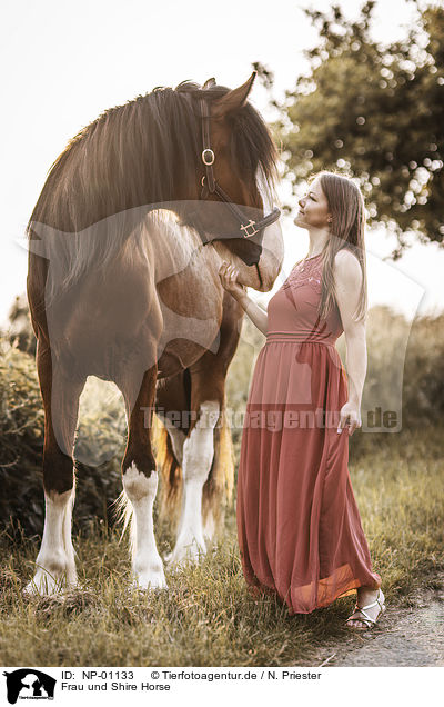 Frau und Shire Horse / NP-01133