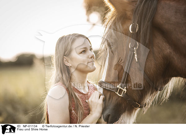 Frau und Shire Horse / NP-01134