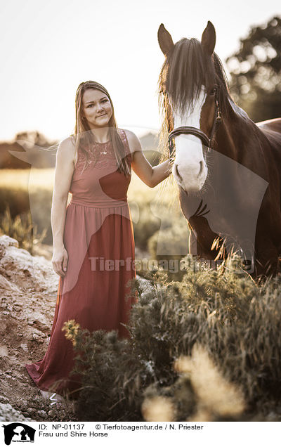 Frau und Shire Horse / NP-01137