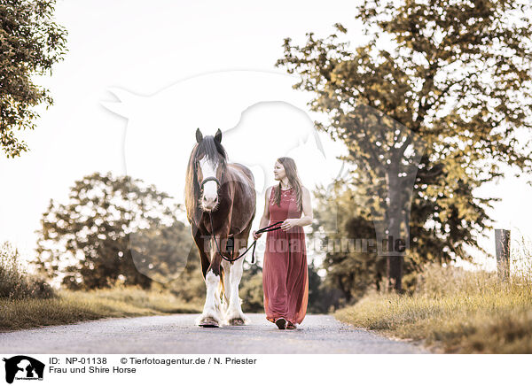 Frau und Shire Horse / NP-01138