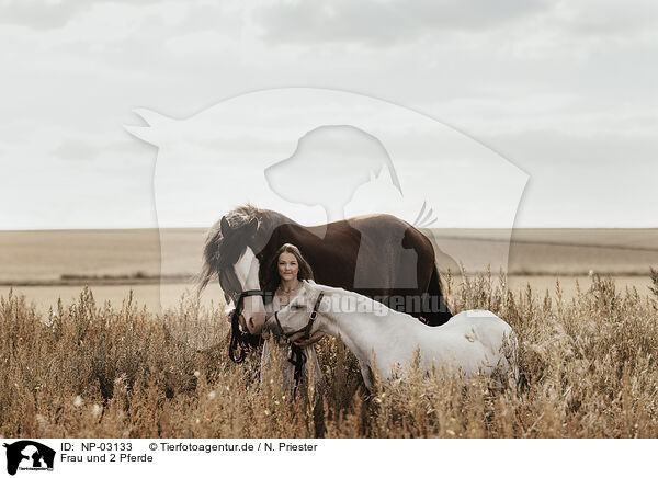 Frau und 2 Pferde / NP-03133