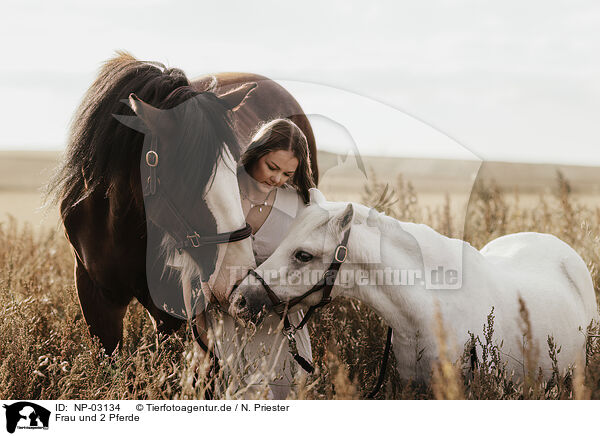 Frau und 2 Pferde / woman and 2 horses / NP-03134
