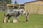 Mann und Shire Horses