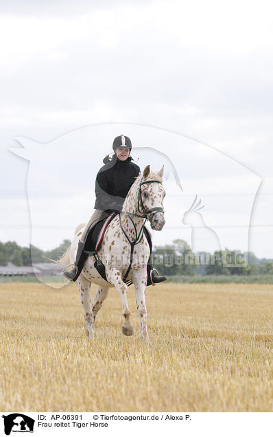 Frau reitet Tiger Horse / woman rides Tiger Horse / AP-06391