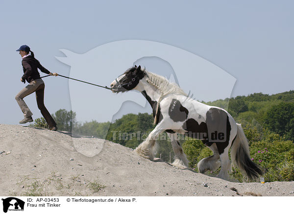 Frau mit Tinker / woman with Irish Tinker / AP-03453