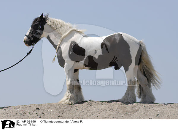Frau mit Tinker / woman with Irish Tinker / AP-03456