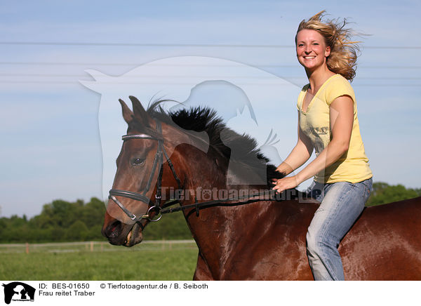 Frau reitet Traber / woman rides trotter / BES-01650