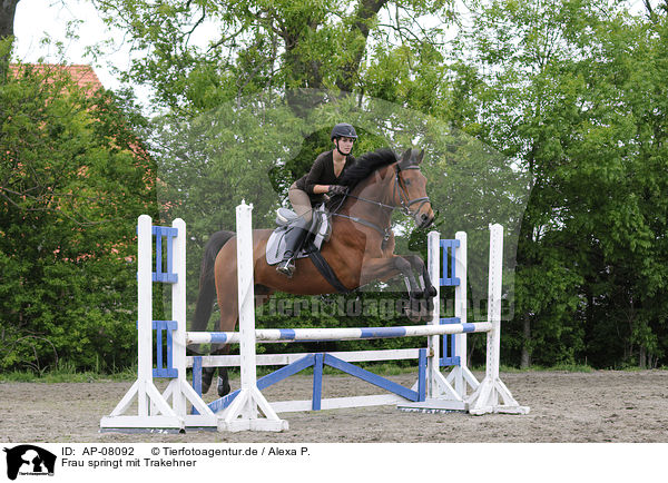 Frau springt mit Trakehner / woman jumps with Trakehner / AP-08092