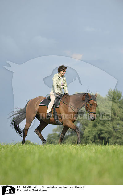 Frau reitet Trakehner / woman rides Trakehner / AP-08876