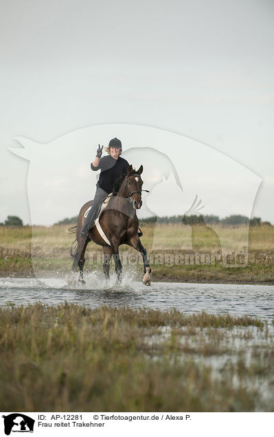 Frau reitet Trakehner / woman rides Trakehner / AP-12281