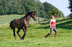 Frau mit Trakehner