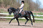 Frau reitet Trakehner