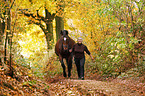 Frau mit Trakehner